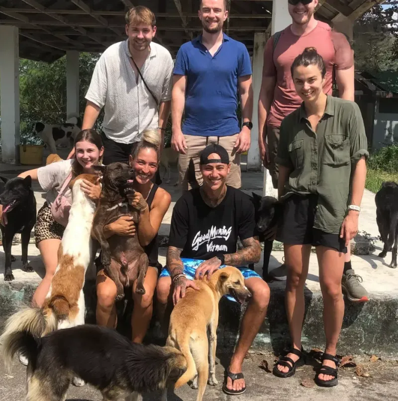 Volunteers with shelter dogs at The Haven, the Samui Street Dogs shelter