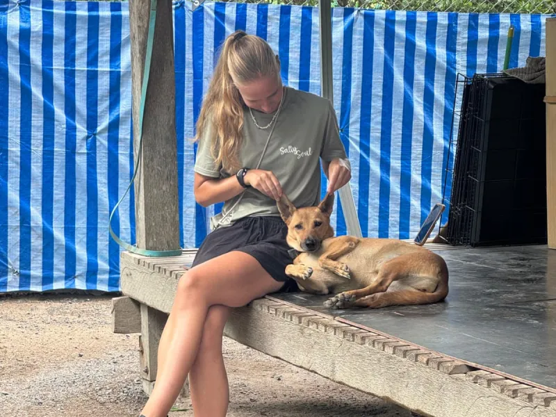 Vrijwilliger met een opvanghond op het plateau van de opvang van Samui Street Dogs