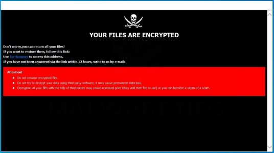 Ransomware aanval voorkomen